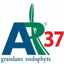 AR37 Endophyte grasslanz
