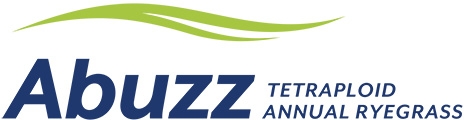 Abuzz Amazon Abuzz | PGG Wrightson Seeds | PGG Wrightson Seeds